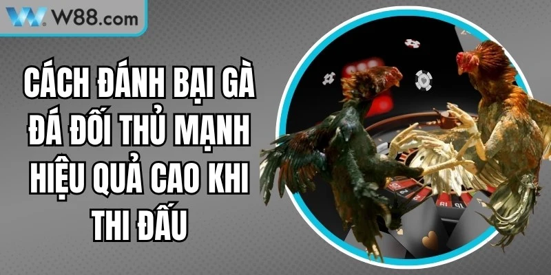 Cách Đánh Bại Gà Đá Đối Thủ Mạnh